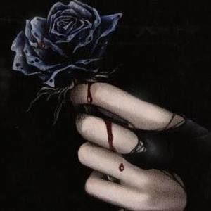 Meet your Posher, Faviola